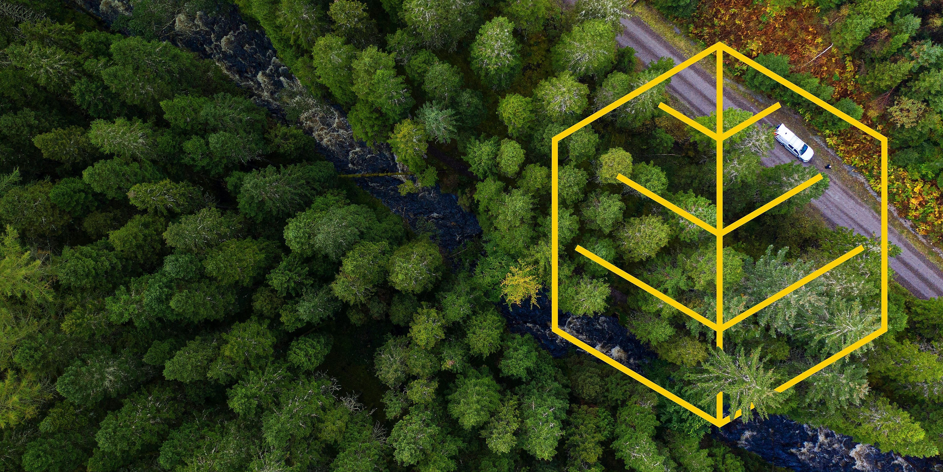 Arial of a river and a white truck on a road in a pine forest with an outline of the Respecting nature graph